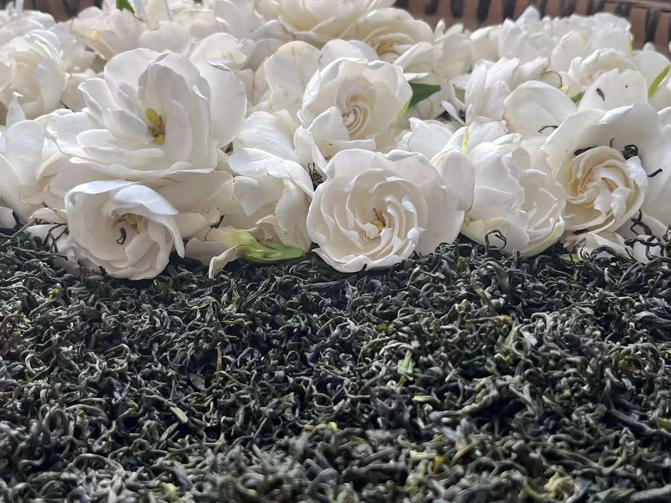 Thé au jasmin ou thé à la gardénia : lequel choisir et pourquoi ça change tout