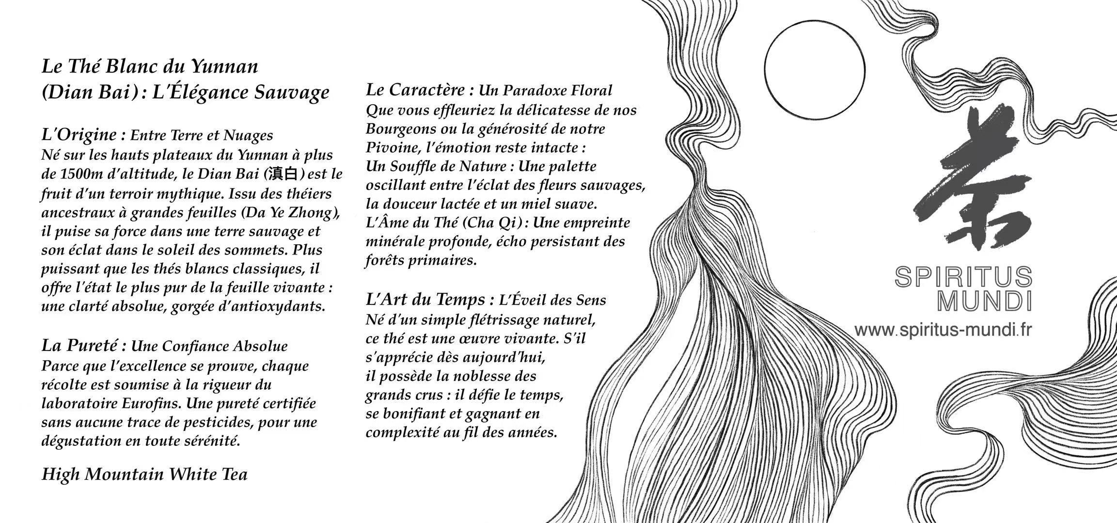 Thé Blanc du Yunnan "Souffle Blanc" 6 Briques de Thé Blanc (6 x 1 Litre)— La délicatesse des montagnes en portion. Une infusion parfaite, florale et veloutée.