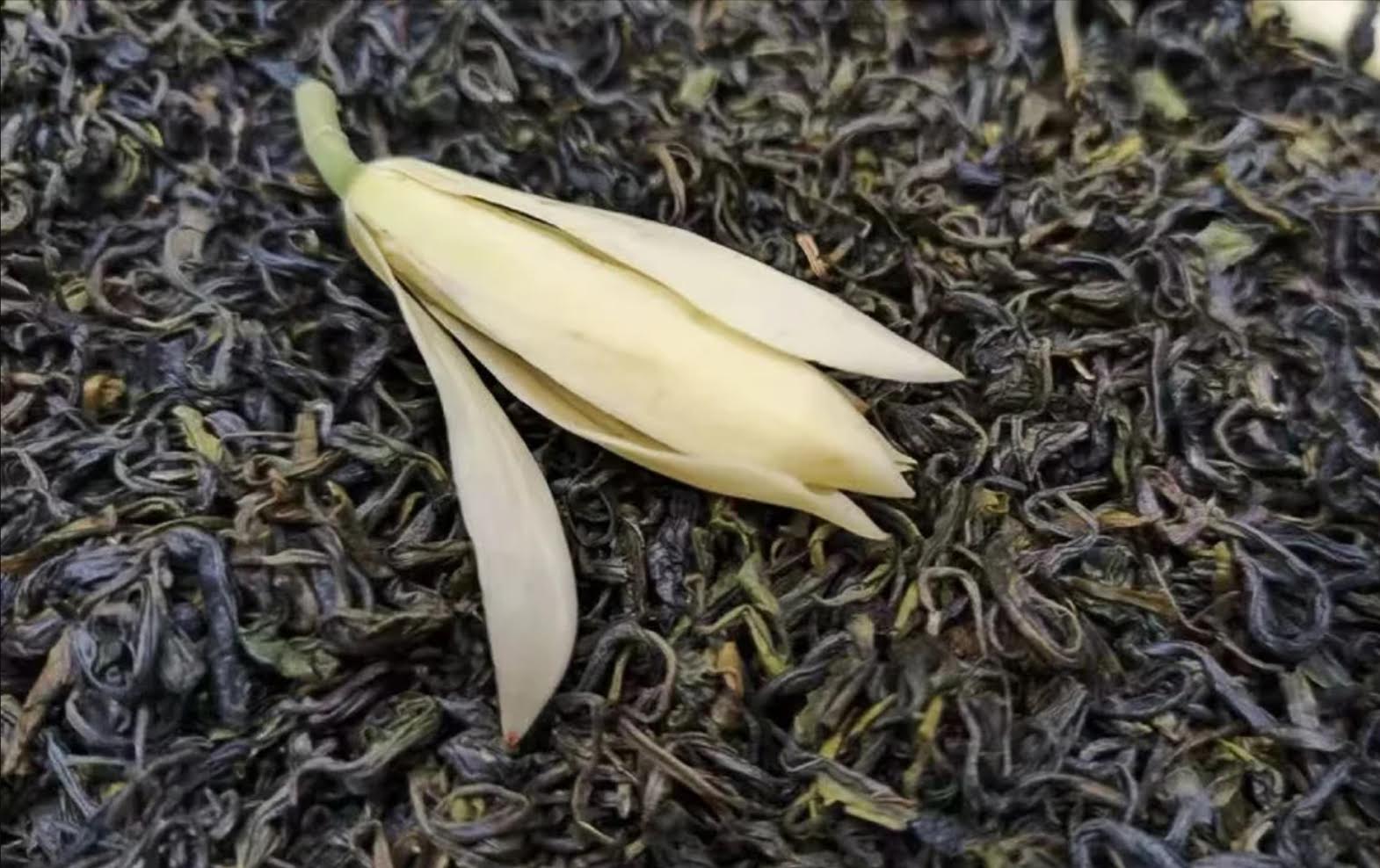 Brume de Michélia — Thé Vert 100g — Une fraîcheur intense, portée par un parfum de banane mûre aux accents floraux et vanillés.