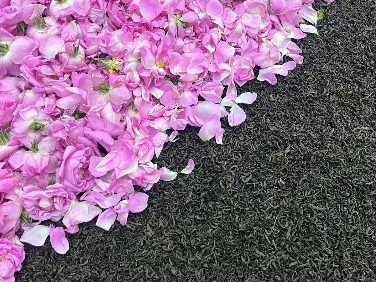 Rose fraîche utilisée pour l'imprégnation nocturne du thé Reine des Roses
