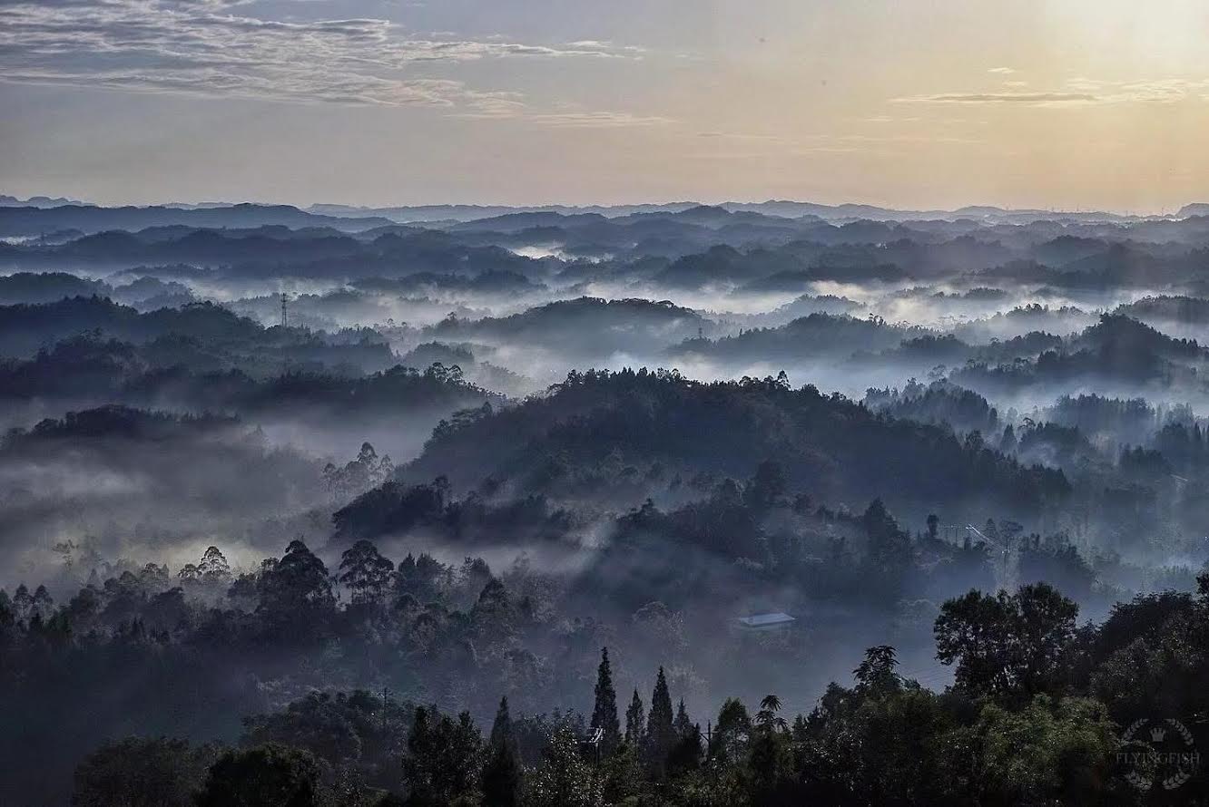 Montagnes brumeuses du Sichuan, lieu d'origine de notre thé parfumé naturellement Spiritus Mundi