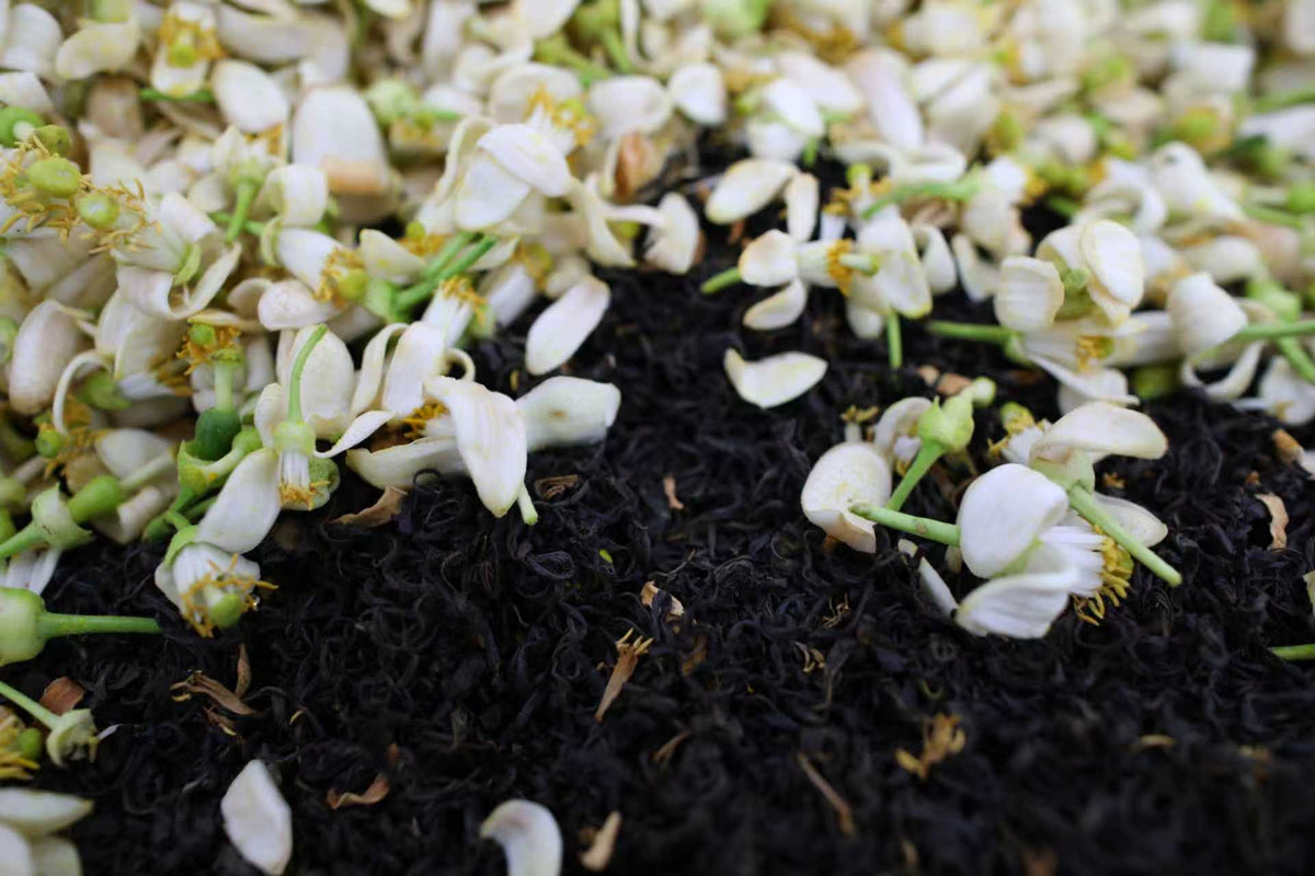 Détail du thé noir Éclair du Pomelo et de ses fleurs fraîches