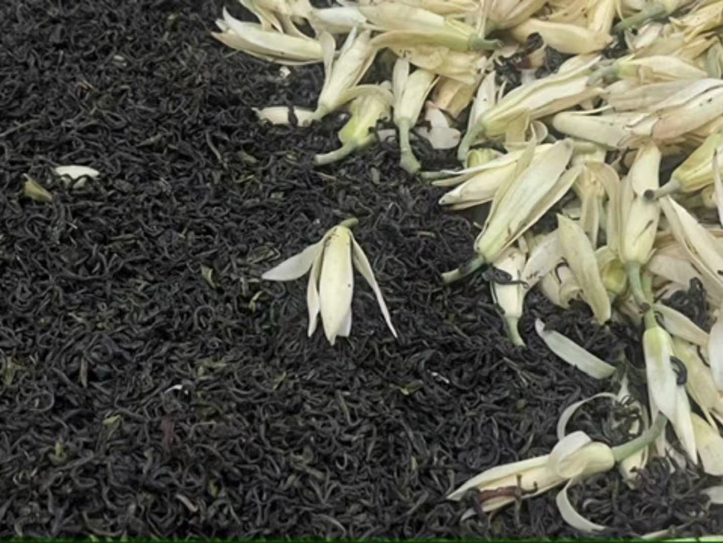 Brume  de  Michélia — Thé Vert  100g  — Thé vert Fraîcheur végétale, notes de fleur d'oranger. Léger et éveillant.