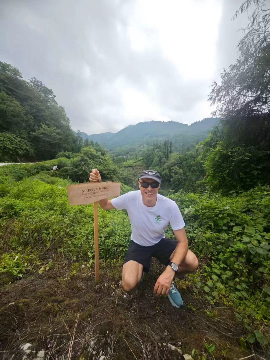 Thé Vert   100g — La pureté végétale des hautes montagnes. Vif, frais et désaltérant.