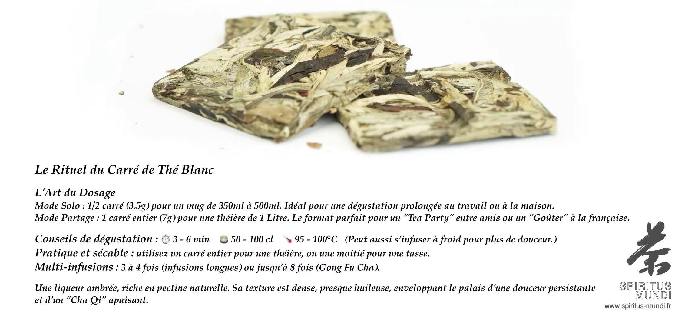 Thé Blanc du Yunnan "Souffle Blanc"  6 Briques de Thé Blanc (6 x 1 Litre)— La délicatesse des montagnes en portion. Une infusion parfaite, florale et veloutée.