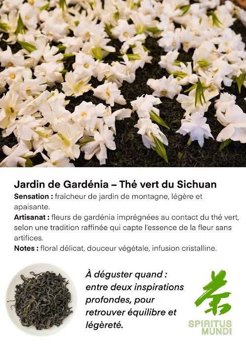Sachet de thé Jardin de Gardénia infusé en tasse