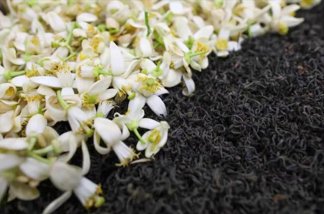 Thé noir Éclair du Pomelo, thé noir des montagnes du Sichuan Spiritus Mundi