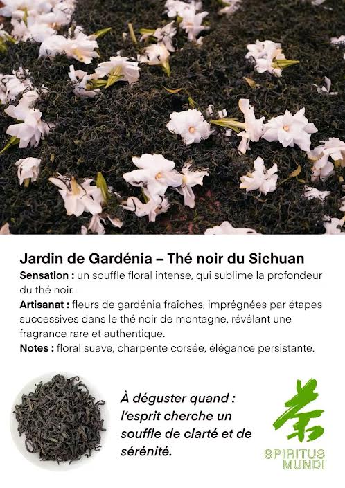 Sachet de thé Jardin de Gardénia (noir) infusé en tasse